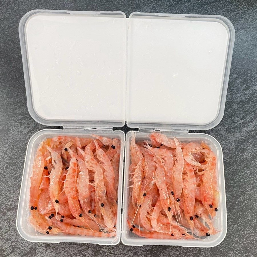 不凍蝦(盒裝)-釣魔王1